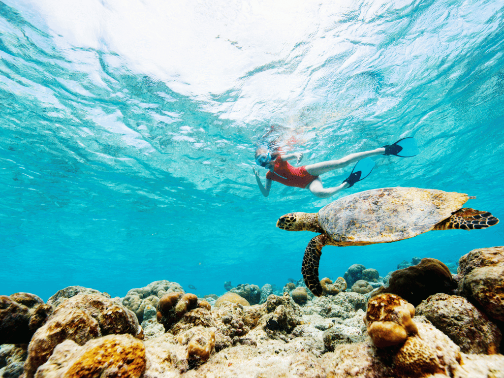 Bali Snorkeling Underwater - Bali Guide